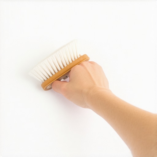 Maintaining Upholstery with a Horsehair Brush Gently brushing white sofa fabric to maintain freshness