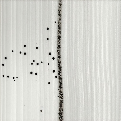Microfiber vs Cotton Fiber Comparison Microscopic view of split microfiber capturing dirt for sanitizing