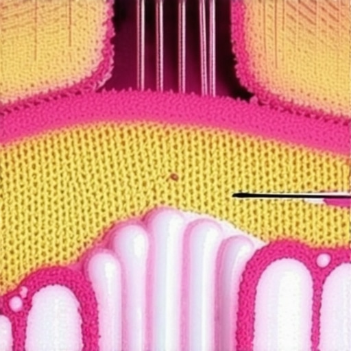 Diagram-style photo of liquid wicking up through carpet fibers